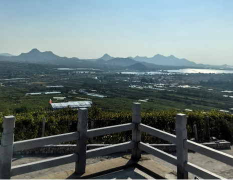 平度大澤山葡萄園引進(jìn)萊恩德土壤肥料檢測(cè)儀， 輕松掌握土壤營(yíng)養(yǎng)